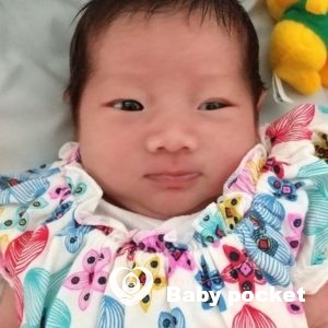 パナちゃんをお迎えしました。