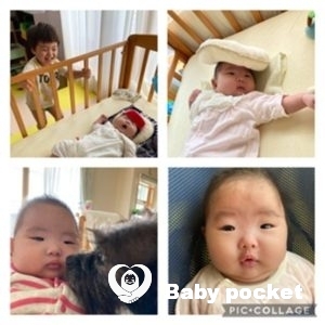 いなさちゃん100日&お食い初め