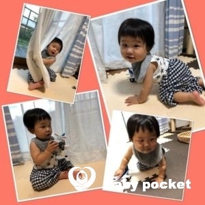 きじとら君が一歳になりました