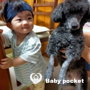 ミファーちゃん 入籍のご報告