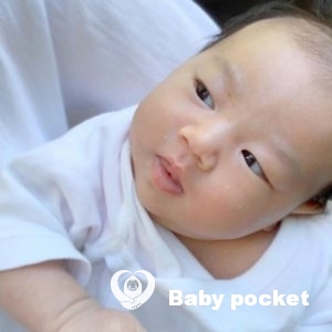 翡翠ちゃん もうすぐ一ヶ月