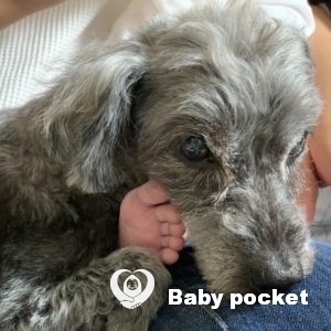 翡翠ちゃん もうすぐ一ヶ月