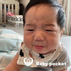 チンプイ君生後7か月のご報告