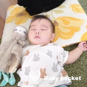 ガーネットくん入籍のご報告