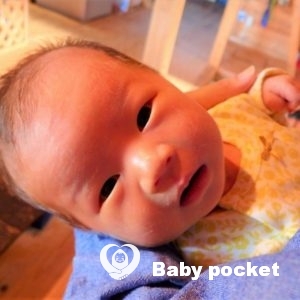 🍎秋映(あきばえ)ちゃんをお迎えしました🍎