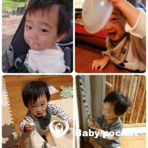 カウル君1歳になりました!