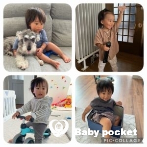 ロシナンテ君⭐1歳7ヶ月になりました