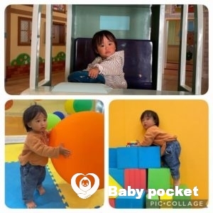 ロシナンテ君⭐1歳7ヶ月になりました