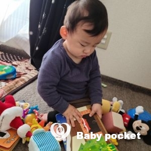 のっぽくん⭐生後11ヶ月のご報告⭐