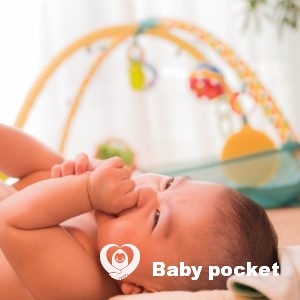 あるぴ君 7ヶ月になりました