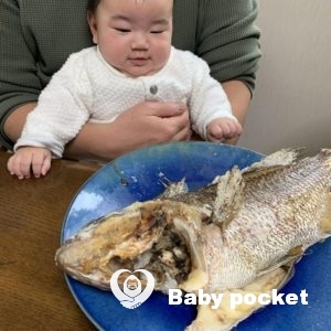 翡翠ちゃん 100日祝い・お食い初めのご報告