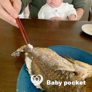 翡翠ちゃん 100日祝い・お食い初めのご報告