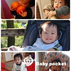 カウル君の成長報告~1歳1ヶ月~