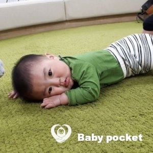 あるぴ君 8ヶ月のご報告