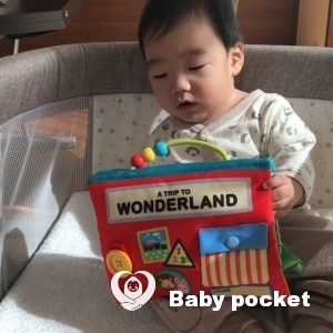 リブくん🐺 7ヶ月の御報告