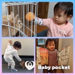 愛逢月ちゃん💛生後500日のご報告