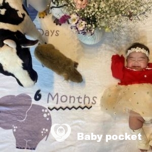 エルピスちゃん ハーフバースデーのご報告