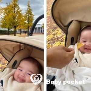 エルピスちゃん ハーフバースデーのご報告