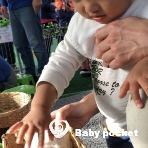 げんき君の2歳のお誕生日☆