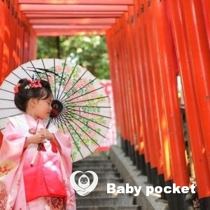 ヴィネガーちゃん、七五三のご報告