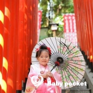 ヴィネガーちゃん、七五三のご報告