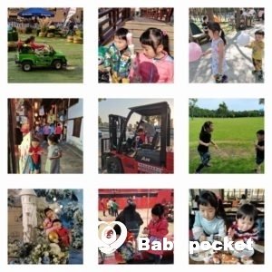 ジョージ君3歳バオバオちゃん6歳のChristmasとお正月。