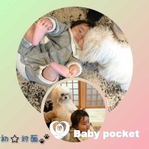 てんかちゃん⭐初めての○○!&ハーフバースデー