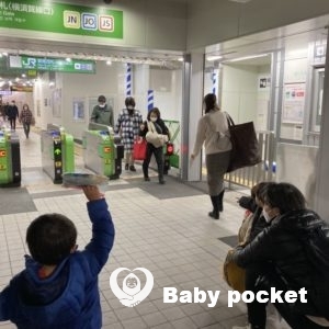 蓮花(レンカ)ちゃん お迎えしました!