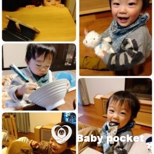 カウル君の成長報告~1歳3ヶ月~