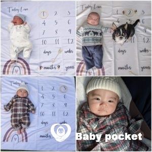 のすけ君 お食い初めと近況のご報告