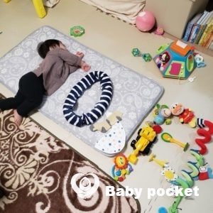 ルターくん10ヵ月のご報告