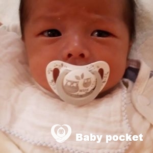 1か月迎えました。