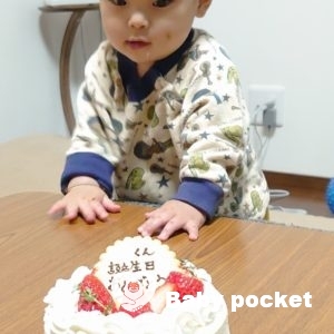 ガーネット君 1歳のご報告