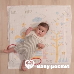 うみちゃんハーフバースデーのご報告