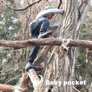 グリくん6歳になりました