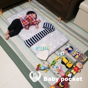 ルターくん11ヵ月のご報告