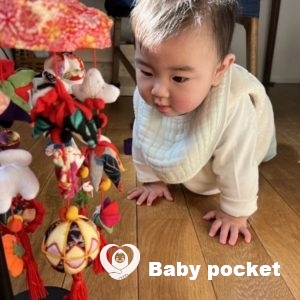 6ヶ月の報告です