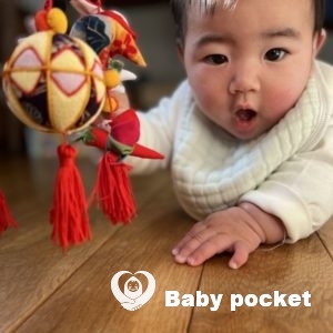 6ヶ月の報告です