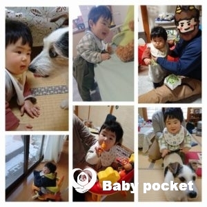 風くんが1歳のお誕生日を迎えました。