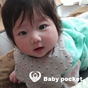 パナちゃんハーフバースデーのご報告