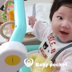 パナちゃんハーフバースデーのご報告