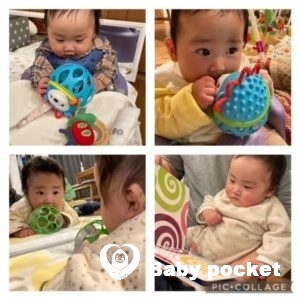 ハルノヒくん6か月になりました。