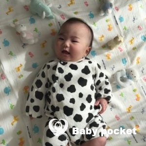 スイカくん ハーフバースデーのご報告