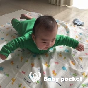 スイカくん ハーフバースデーのご報告