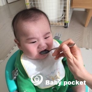 スイカくん ハーフバースデーのご報告