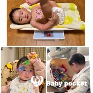 苺ミルクちゃん入籍と初節句のご報告