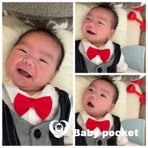 🌟ビーズくん、お宮参りへ🌟