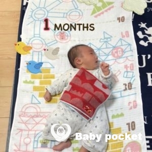 セキセイ君が2ヶ月になりました🌟