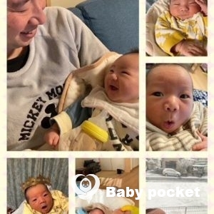 セキセイ君が2ヶ月になりました🌟