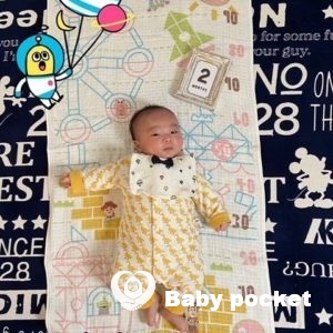 セキセイ君が2ヶ月になりました🌟